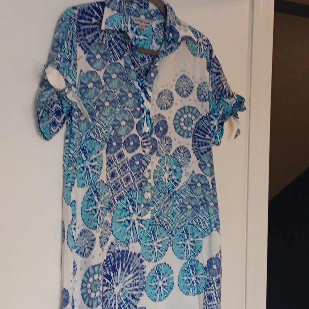 Blue Patterned Button-Front Maxi Dress - image 8